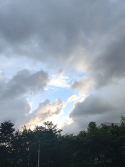 1000051354