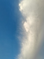 1000172249