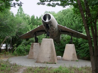 14064