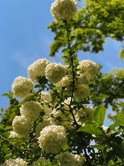 C1D863D9-5397-47C6-A3EE-7F8BB8D03AC5/L0/001