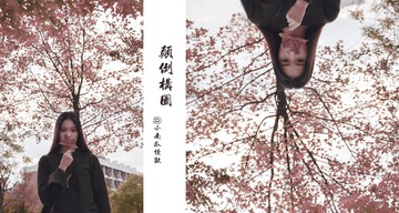 2.颠倒构图 2