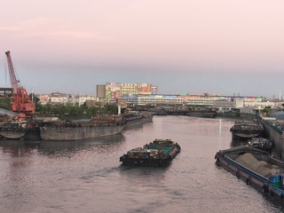 1000012161