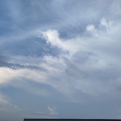 1000187301