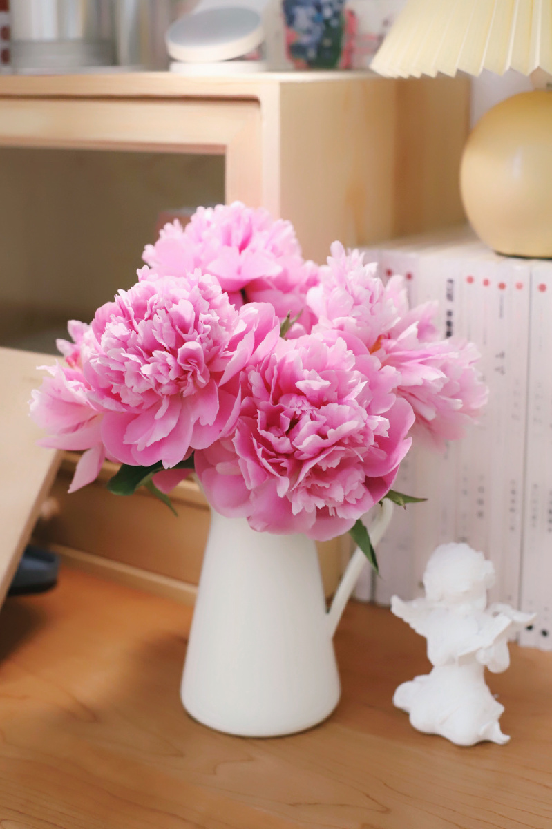 今天的重瓣芍药实在太好看了,提溜着花瓶在各个角落里拍了一圈
