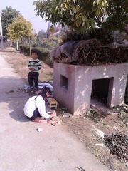 IMG_20121118_110308.jpg