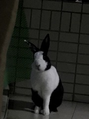 5314