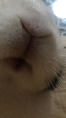 5413