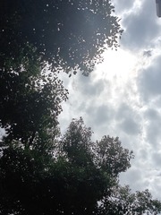 1000001898