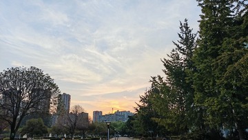 1000016795