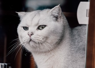 80119