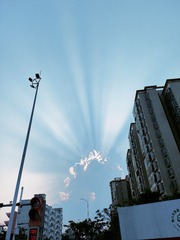 1000029558