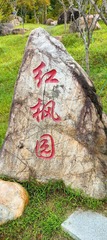 1000015956