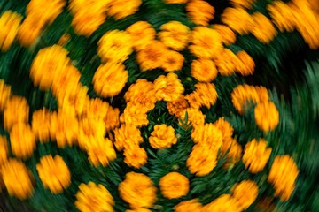 1000048454