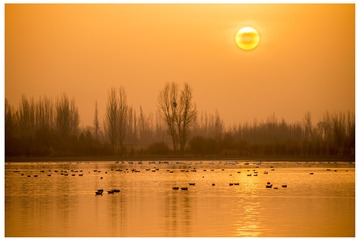 DSC_0244.jpg01