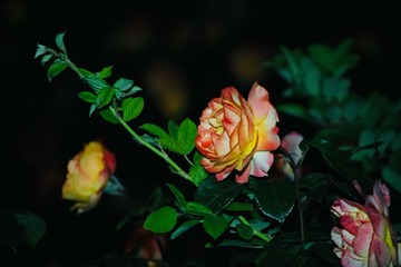 001