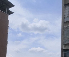 3426349