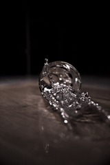 G71A77577.jpg