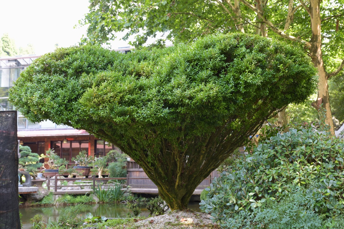 随拍·贵阳省植物园
