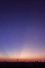 2705019