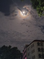 1000007531