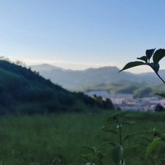 18954