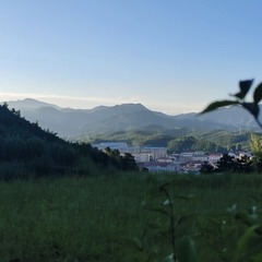 18955