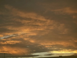 11610