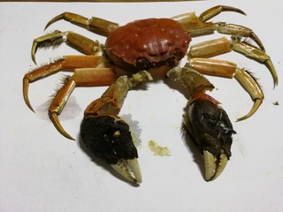 4612