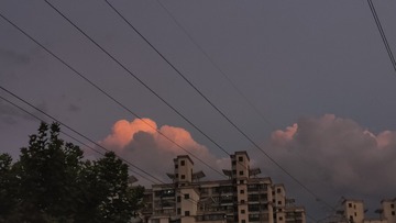 1000087755