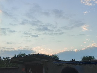 1000005382