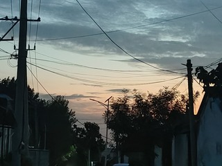 1000006650