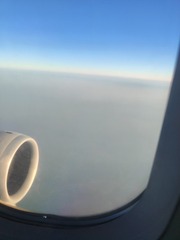 1000010342