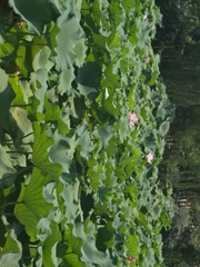 972880