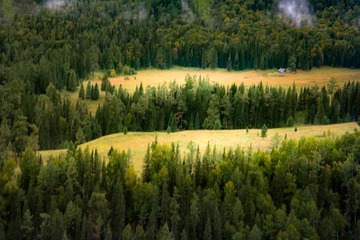1000068404