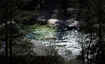 1000068263