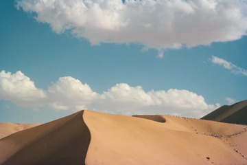 1000067785