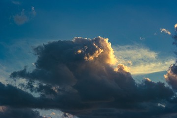 1000068602