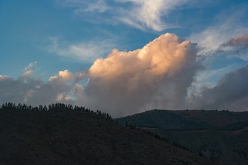 1000068606