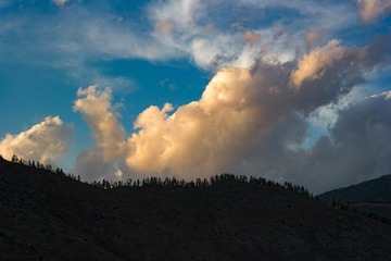 1000068603