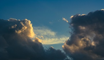1000068600