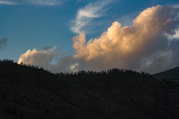 1000068605