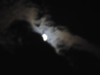 1126100