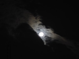 1126101