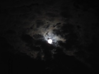 1126097