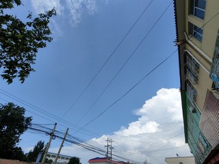 347029
