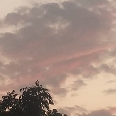 140977