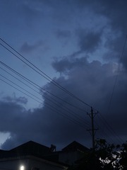 1000005332