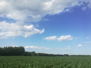 774283