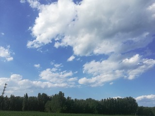774282