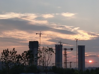 954